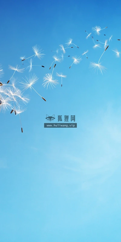 【12515】壁纸  2K 高清壁纸2560_1600@青蛙壁纸-笨猫小站