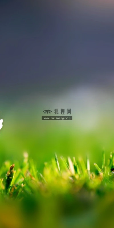 【12526】壁纸  2K 高清壁纸2560_1600@青蛙壁纸-笨猫小站