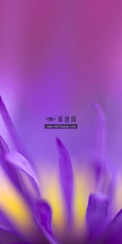 【12533】壁纸  2K 高清壁纸2560_1600@青蛙壁纸-笨猫小站