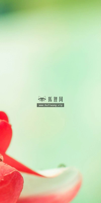 【12555】植物壁纸  2K 高清壁纸2560_1600@青蛙壁纸-笨猫小站