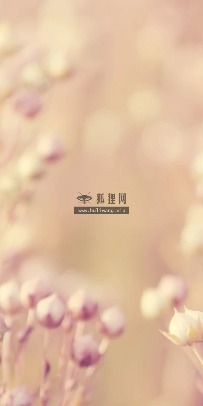 【12594】植物壁纸  2K 高清壁纸2560_1600@青蛙壁纸-笨猫小站