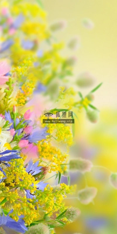 【12678】植物壁纸  2K 高清壁纸2560_1600@青蛙壁纸-笨猫小站
