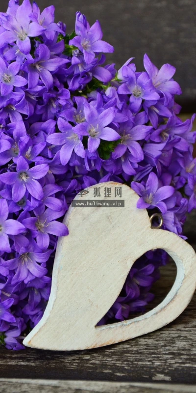 【12691】植物壁纸  2K 高清壁纸2560_1600@青蛙壁纸-笨猫小站