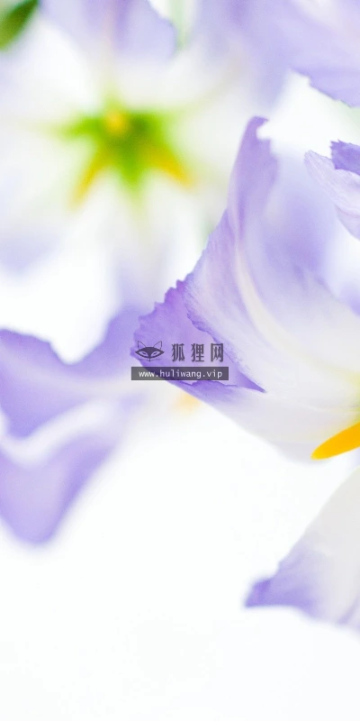 【12696】植物壁纸  2K 高清壁纸2560_1600@青蛙壁纸-笨猫小站