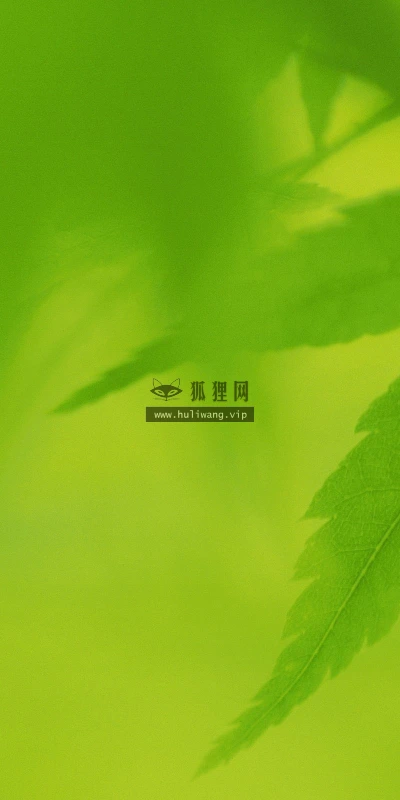 【12719】植物壁纸  2K 高清壁纸2560_1600@青蛙壁纸-笨猫小站