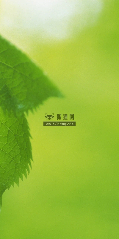 【12760】植物壁纸  2K 高清壁纸2560_1600@青蛙壁纸-笨猫小站