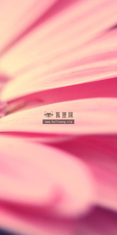【12790】植物壁纸  2K 高清壁纸2560_1600@青蛙壁纸-笨猫小站