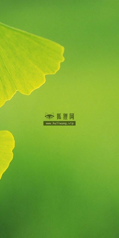 【12791】植物壁纸  2K 高清壁纸2560_1600@青蛙壁纸-笨猫小站