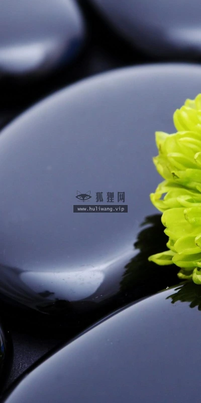 【12804】植物壁纸  2K 高清壁纸2560_1600@青蛙壁纸-笨猫小站