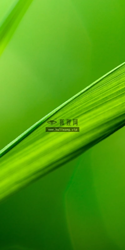 【12807】植物壁纸  2K 高清壁纸2560_1600@青蛙壁纸-笨猫小站
