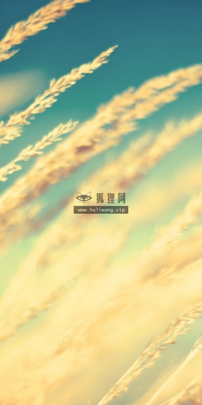 【12816】植物壁纸  2K 高清壁纸2560_1600@青蛙壁纸-笨猫小站