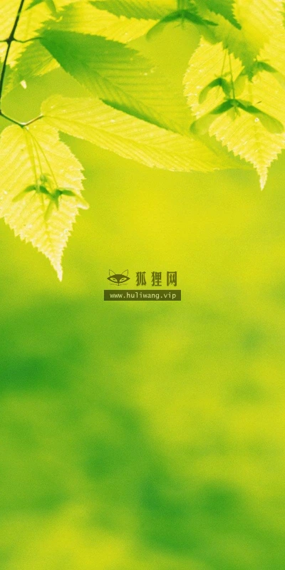【12839】植物壁纸  2K 高清壁纸2560_1600@青蛙壁纸-笨猫小站