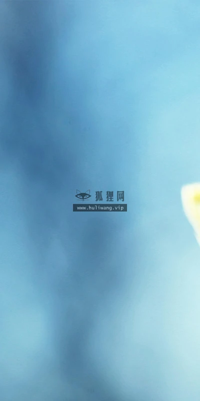 【12879】植物壁纸  2K 高清壁纸2560_1600@青蛙壁纸-笨猫小站