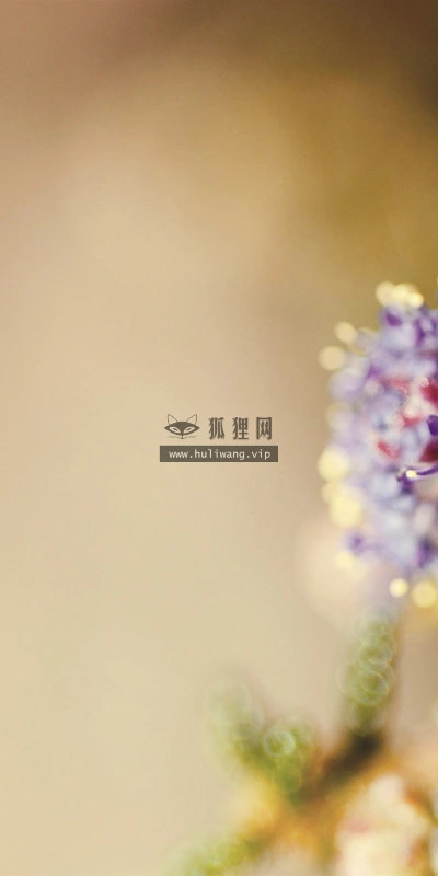 【12882】植物壁纸  2K 高清壁纸2560_1600@青蛙壁纸-笨猫小站