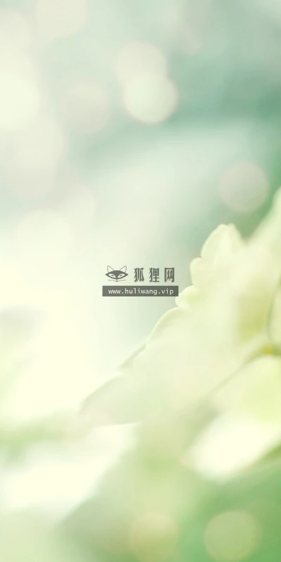 【12915】植物壁纸  2K 高清壁纸2560_1600@青蛙壁纸-笨猫小站
