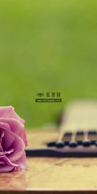 【12924】植物壁纸  2K 高清壁纸2560_1600@青蛙壁纸-笨猫小站