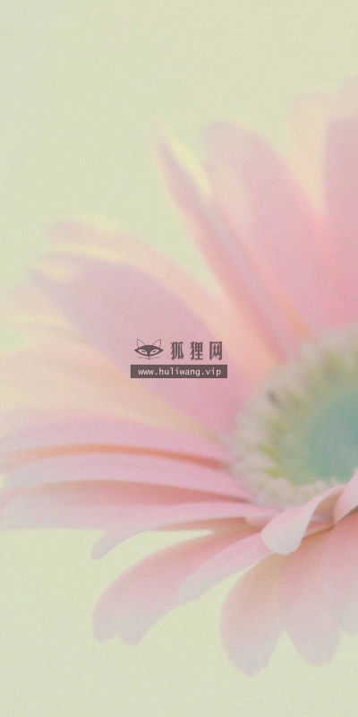 【12949】植物壁纸  2K 高清壁纸2560_1600@青蛙壁纸-笨猫小站
