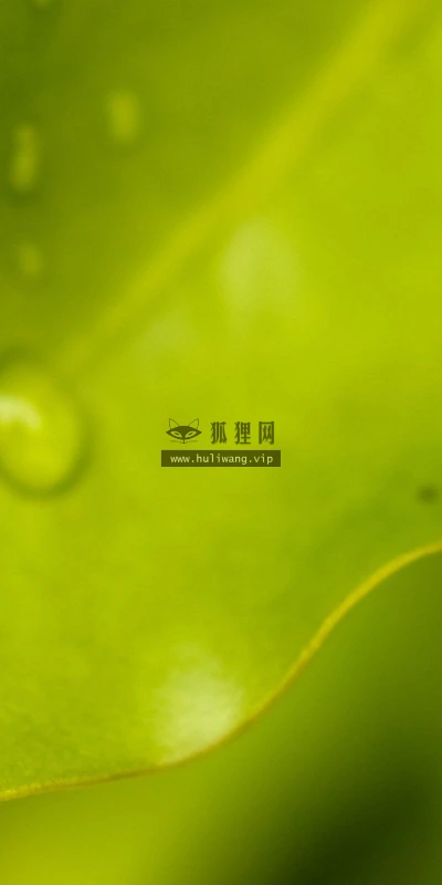 【12955】植物壁纸  2K 高清壁纸2560_1600@青蛙壁纸-笨猫小站