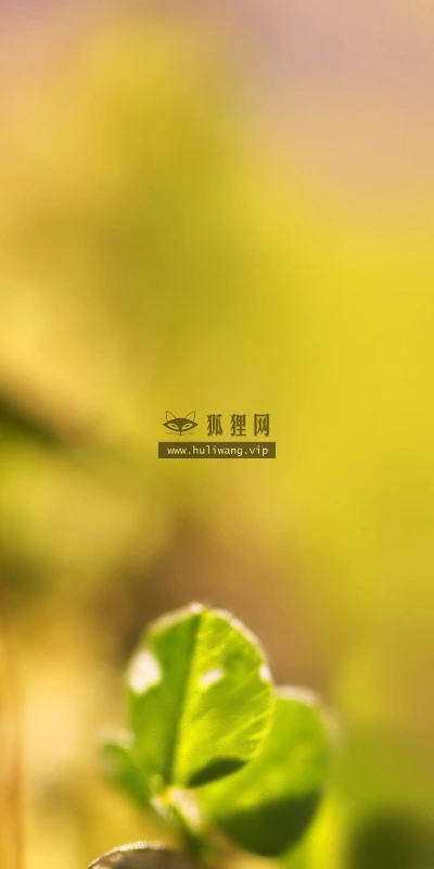 【12961】植物壁纸  2K 高清壁纸2560_1600@青蛙壁纸-笨猫小站