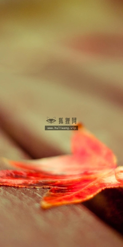 【12982】植物壁纸  2K 高清壁纸2560_1600@青蛙壁纸-笨猫小站