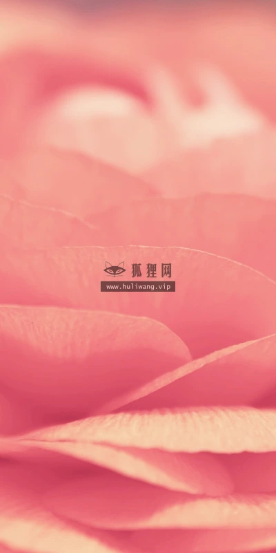 【12983】植物壁纸  2K 高清壁纸2560_1600@青蛙壁纸-笨猫小站