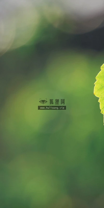 【12987】植物壁纸  2K 高清壁纸2560_1600@青蛙壁纸-笨猫小站