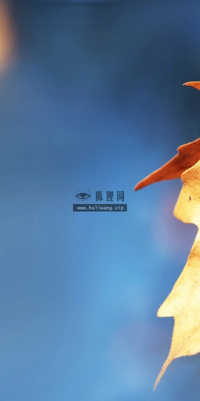 【13004】植物壁纸  2K 高清壁纸2560_1600@青蛙壁纸-笨猫小站