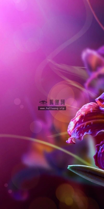 【13023】植物壁纸  2K 高清壁纸2560_1600@青蛙壁纸-笨猫小站