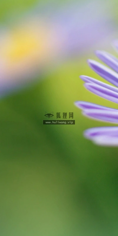 【13038】植物壁纸  2K 高清壁纸2560_1600@青蛙壁纸-笨猫小站