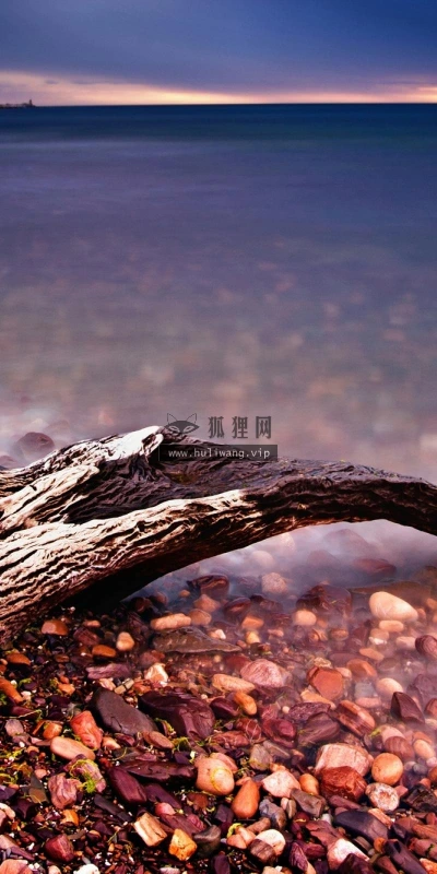 【13068】植物壁纸  2K 高清壁纸2560_1600@青蛙壁纸-笨猫小站