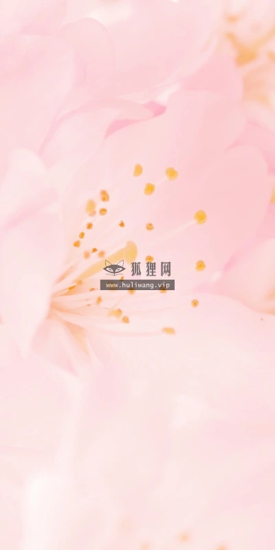 【13136】植物壁纸  2K 高清壁纸2560_1600@青蛙壁纸-笨猫小站