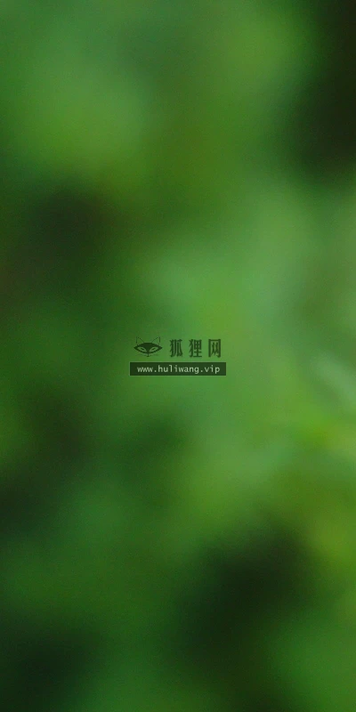 【13158】植物壁纸  2K 高清壁纸2560_1600@青蛙壁纸-笨猫小站