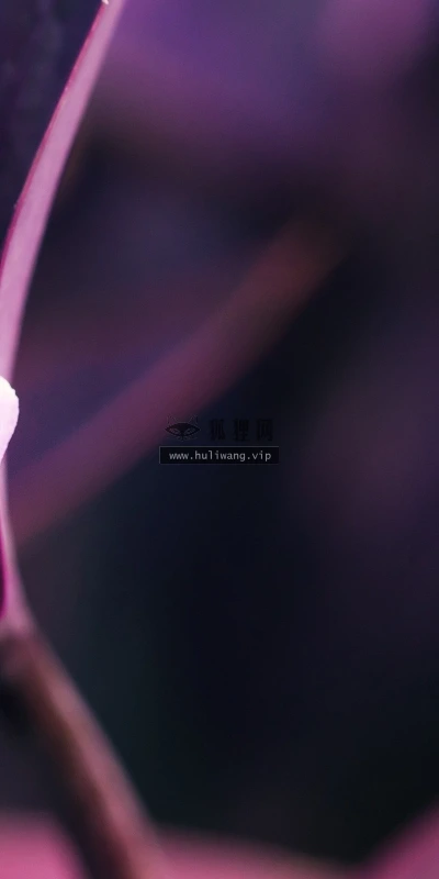 【13230】植物壁纸  2K 高清壁纸2560_1600@青蛙壁纸-笨猫小站