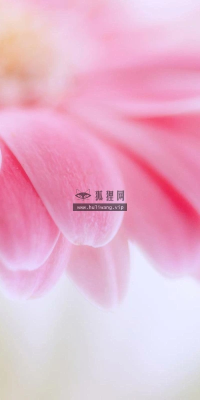 【13254】植物壁纸  2K 高清壁纸2560_1600@青蛙壁纸-笨猫小站