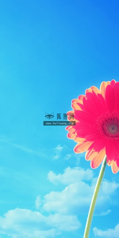 【13278】植物壁纸  2K 高清壁纸2560_1600@青蛙壁纸-笨猫小站