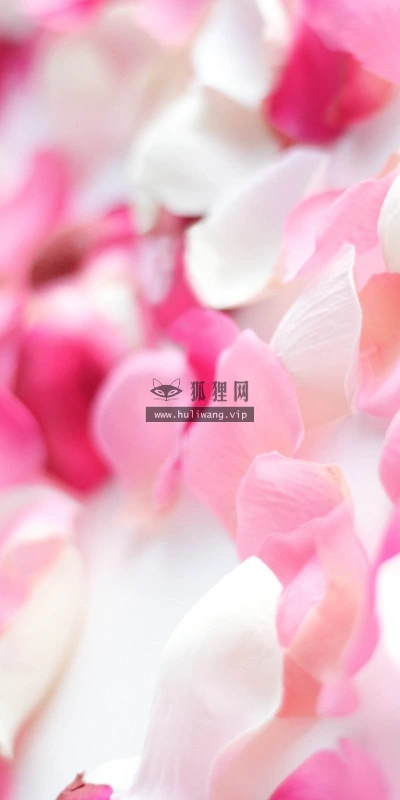 【13280】植物壁纸  2K 高清壁纸2560_1600@青蛙壁纸-笨猫小站