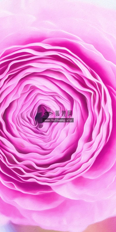 【13295】植物壁纸  2K 高清壁纸2560_1600@青蛙壁纸-笨猫小站