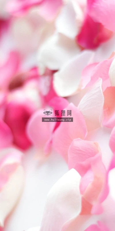 【13314】植物壁纸  2K 高清壁纸2560_1600@青蛙壁纸-笨猫小站