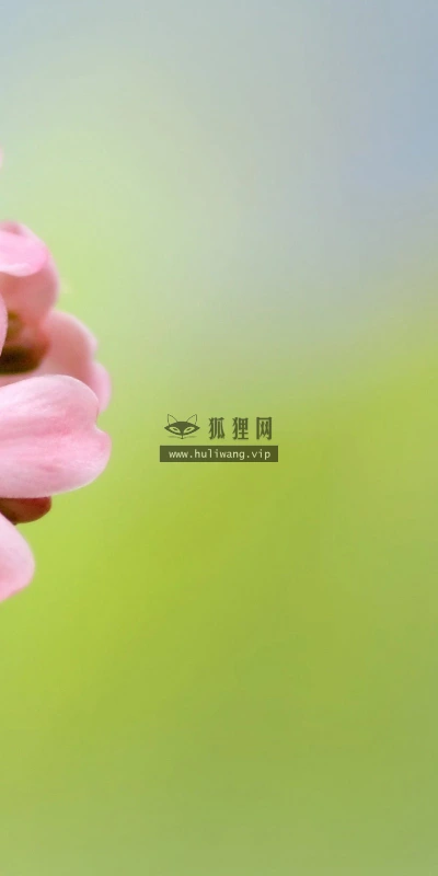 【13342】植物壁纸  2K 高清壁纸2560_1600@青蛙壁纸-笨猫小站