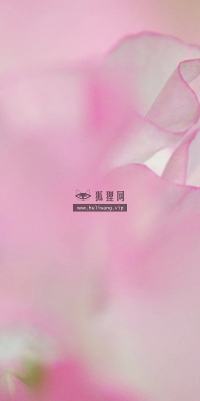 【13360】植物壁纸  2K 高清壁纸2560_1600@青蛙壁纸-笨猫小站