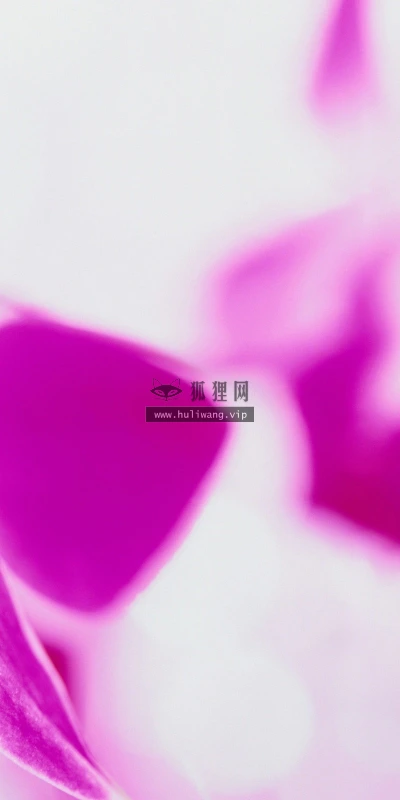 【13457】植物壁纸  2K 高清壁纸2560_1600@青蛙壁纸-笨猫小站