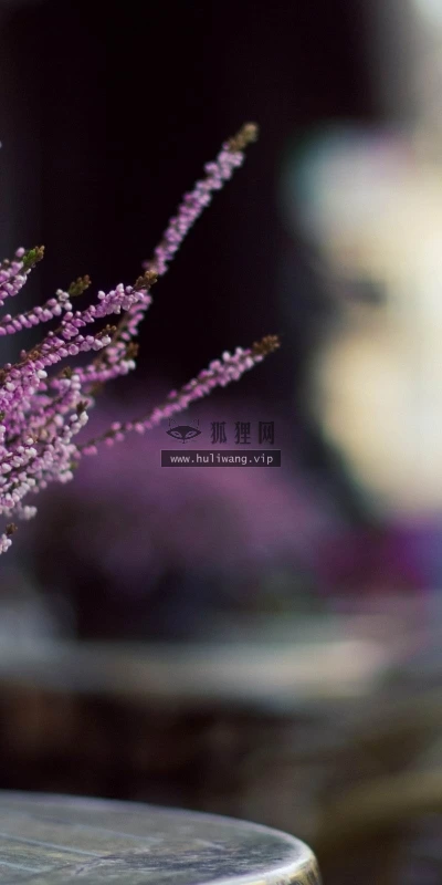 【13459】植物壁纸  2K 高清壁纸2560_1600@青蛙壁纸-笨猫小站