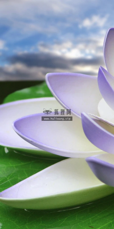 【13481】植物壁纸  2K 高清壁纸2560_1600@青蛙壁纸-笨猫小站