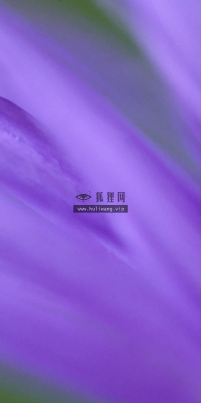 【13513】植物壁纸  2K 高清壁纸2560_1600@青蛙壁纸-笨猫小站