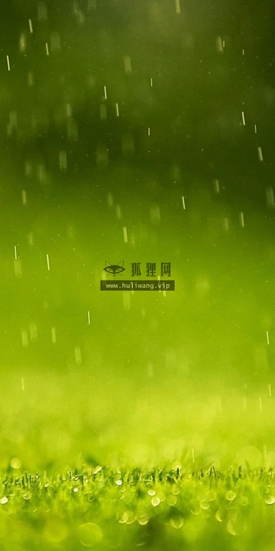 【13540】植物壁纸  2K 高清壁纸2560_1600@青蛙壁纸-笨猫小站