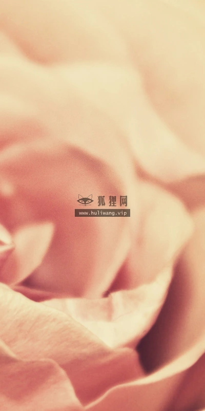 【13650】植物壁纸  2K 高清壁纸2560_1600@青蛙壁纸-笨猫小站