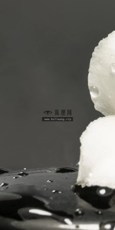 【13674】植物壁纸  2K 高清壁纸2560_1600@青蛙壁纸-笨猫小站