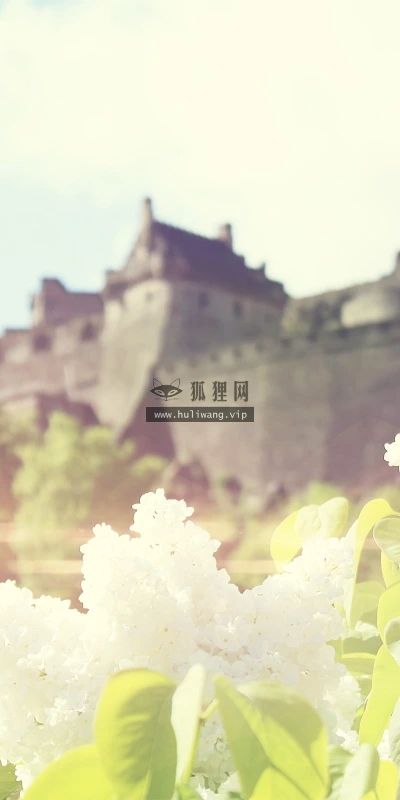 【13689】植物壁纸  2K 高清壁纸2560_1600@青蛙壁纸-笨猫小站