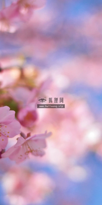 【13730】植物壁纸  2K 高清壁纸2560_1600@青蛙壁纸-笨猫小站