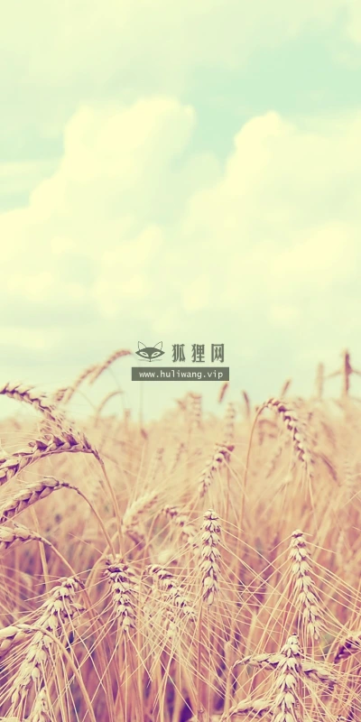 【13779】植物壁纸  2K 高清壁纸2560_1600@青蛙壁纸-笨猫小站